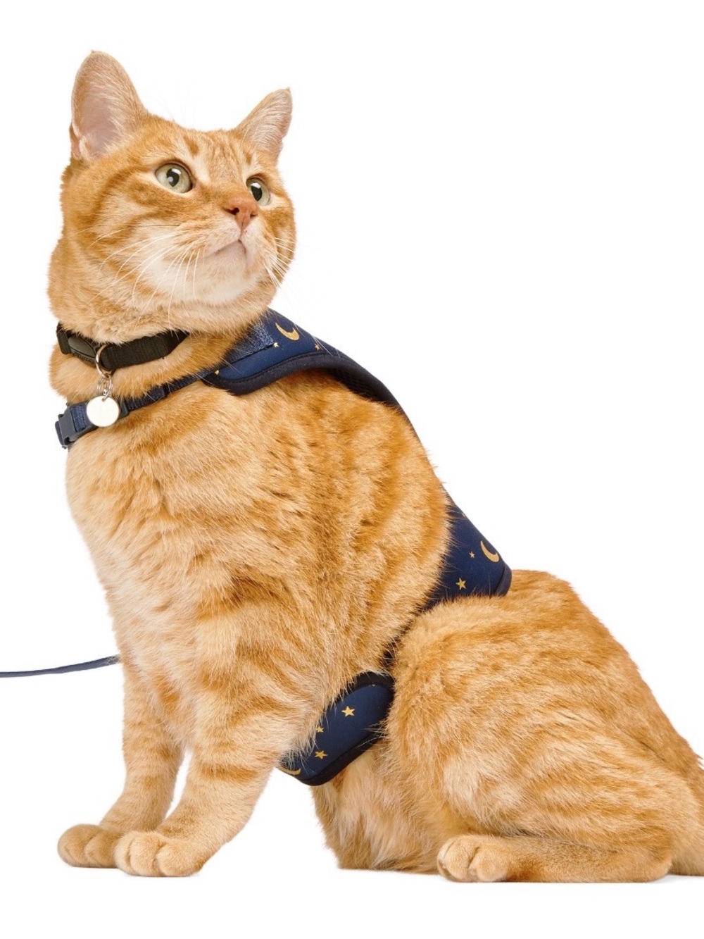 You+ Cat Harness in Navy with Gold Moon & Stars / missing leash .. never worn